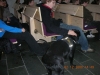 Fikniefnafraedsla_12._februar_2008_009